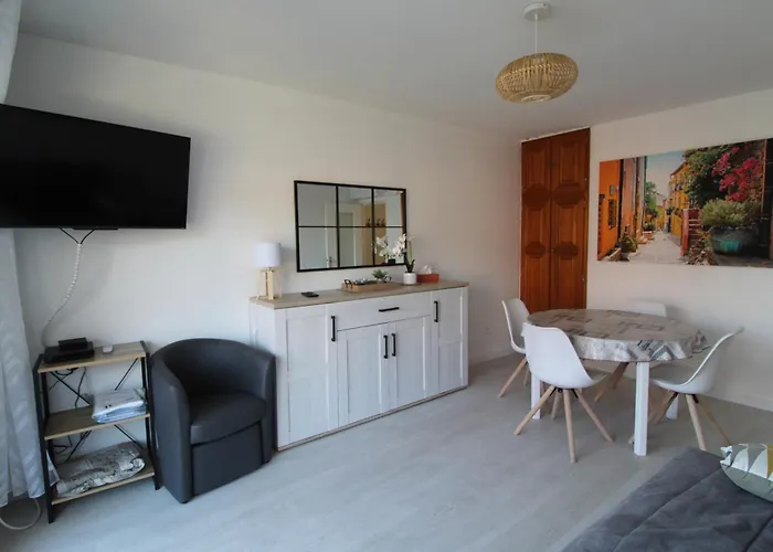 T3 Terrasse Vue Et Parking Prive - Fr-1-309-376 *