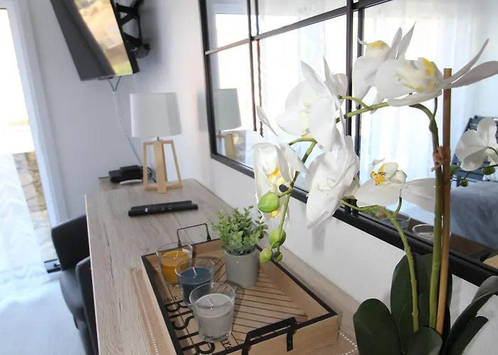 Daire T3 Terrasse Vue Et Parking Prive - Fr-1-309-376 Collioure